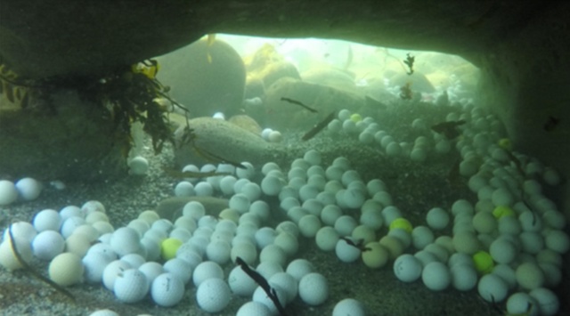 Фридайверы достали из океана несколько тонн мячиков для гольфа