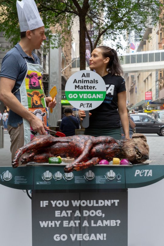 Вегетарианцы организовали акцию в поддержку животных, но немного перестарались