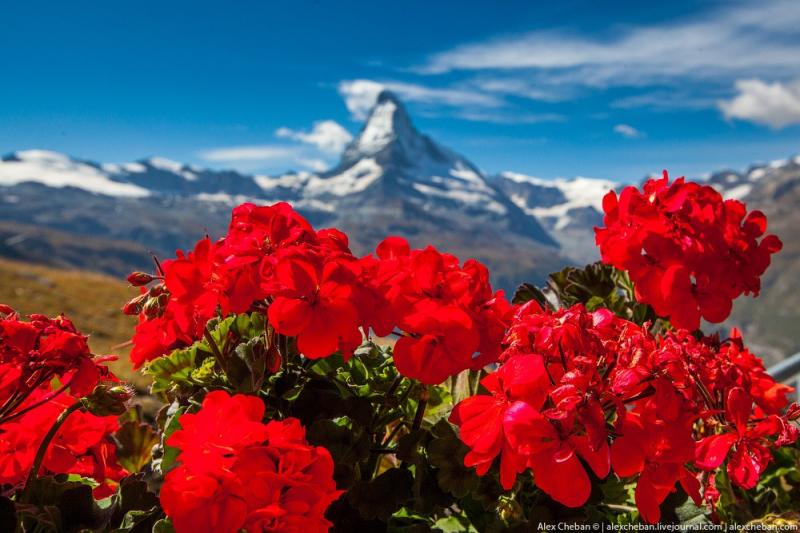 Самая красивая горная вершина в мире - Маттерхорн