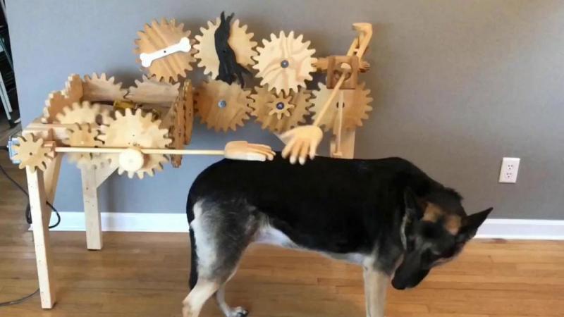 Машинка для ласки: плотник сделал устройство для автоматического поглаживания собак