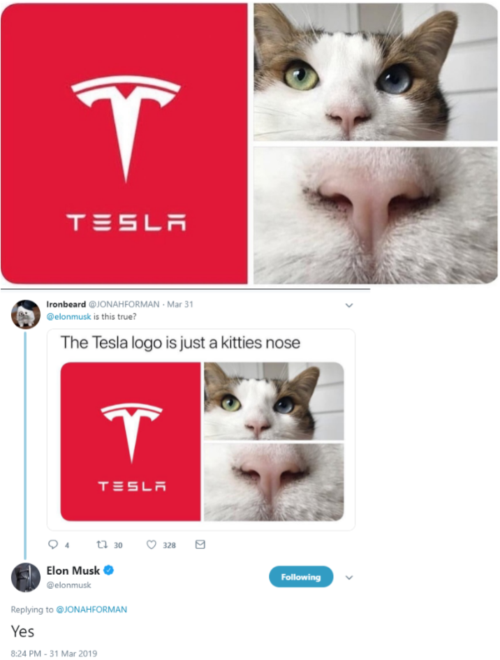 Илон Маск подтвердил, что логотип Tesla — это нос кота