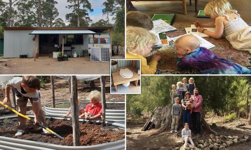 Австралийская семья из девяти человек живет в хижине в лесу