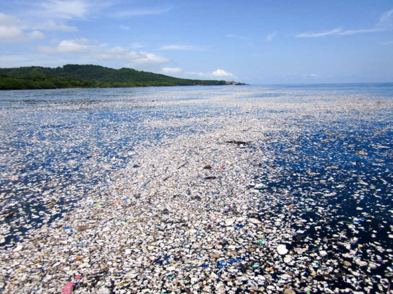 Найден способ очистки океана от пластика!