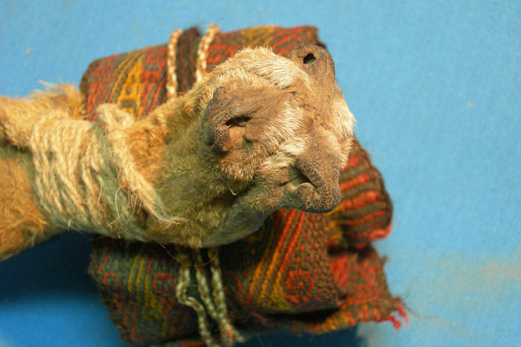 В сумке древнего шамана из Анд нашелся целый набор наркотиков