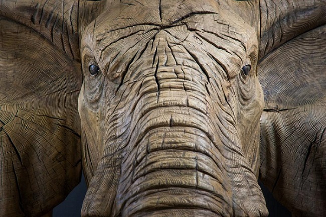 Слон из дерева (2 фото)