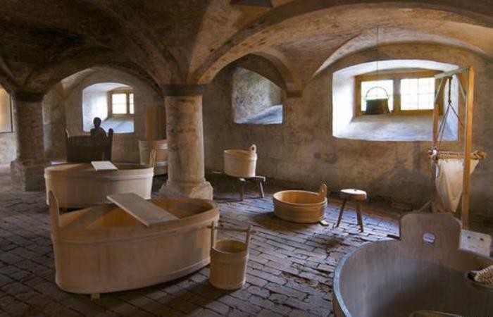 Правда и мифы о санитарном кризисе Средневековья