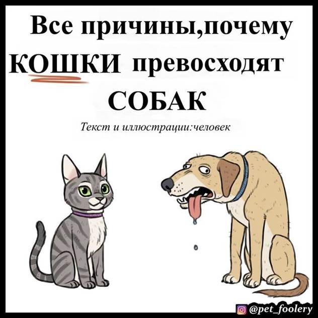 Кошки v/s собак