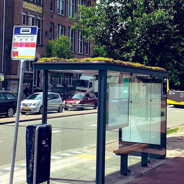 Как автобусные остановки в Нидерландах помогают спасти пчел 