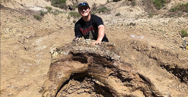 Студент раскопал древнюю находку, которой 65 миллионов лет