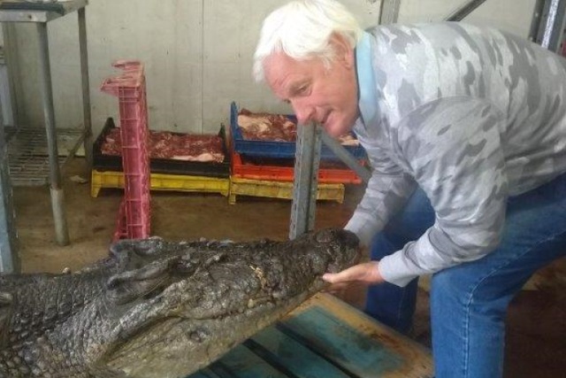 Странная находка в желудке крокодила