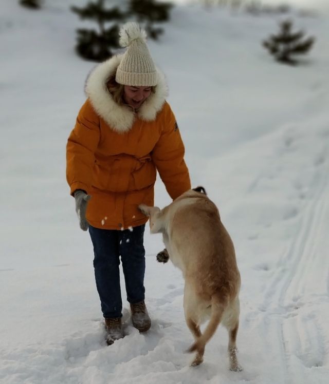 Что нужно пережить, чтобы сделать красивое, зимнее фото с собачкой