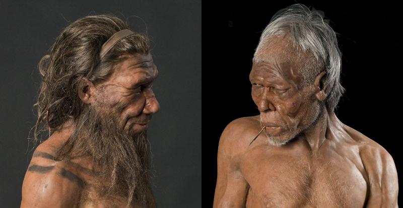 В геноме африканцев нашли следы неандертальской ДНК 
