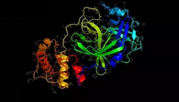 Ученые картировали ключевой белок китайского коронавируса