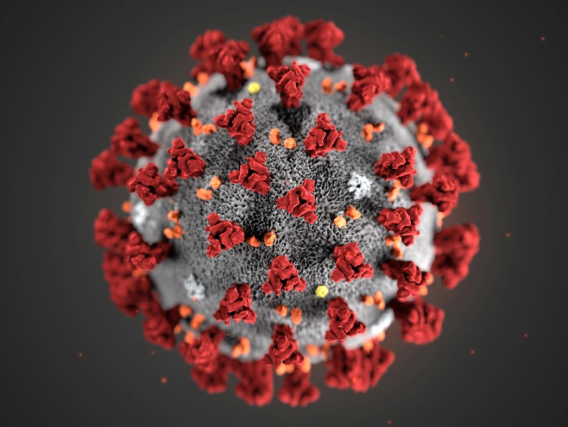 Десять реальных фактов о коронавирусе