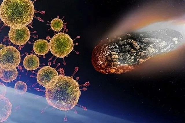 У коронавируса может быть "космическое" происхождение