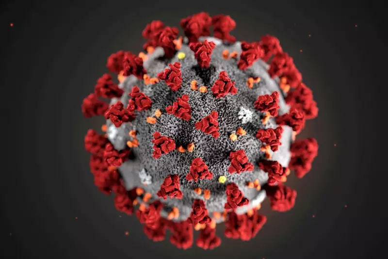 78 интересных фактов о коронавирусе