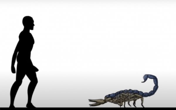 Впечатляющие сравнения вымерших животных с человеком