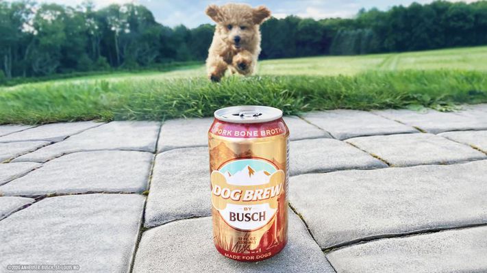 Псиная крафтуха: в США выпустили пиво для собак