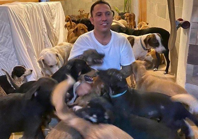 Работник мексиканского приюта спас от урагана 300 кошек и собак - все они остались у него дома