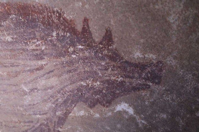 Древнейшие наскальные рисунки свиней обнаружены в Индонезии