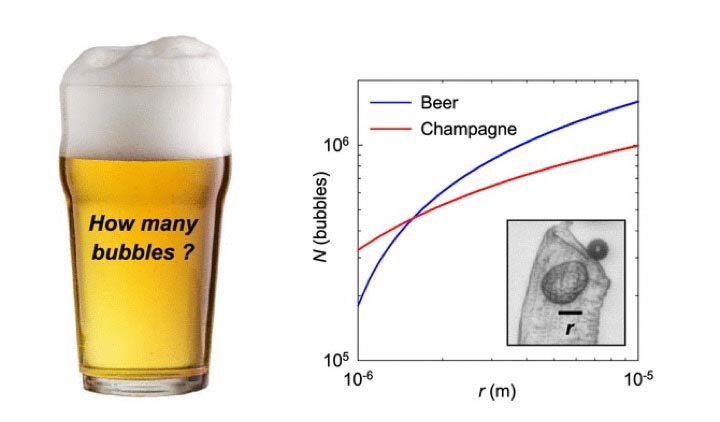 Сколько пузырьков в бокале пива?