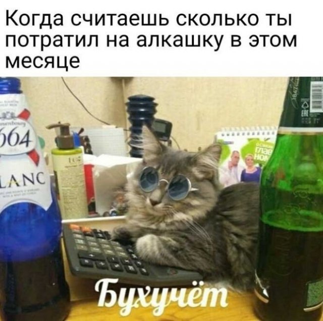 Приколы и мемы про алкоголь 15.09.2021
