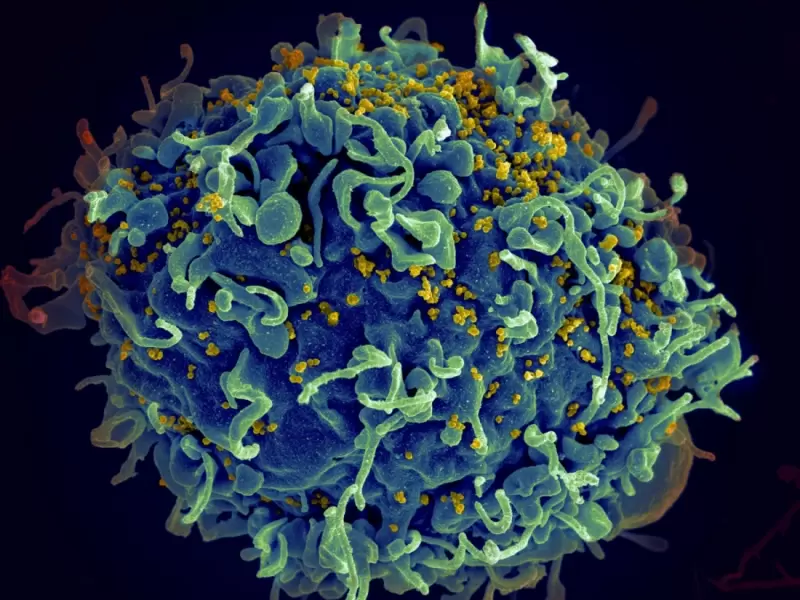 В США испытают на людях генный препарат для лечения ВИЧ-инфекции — он находит и вырезает вирус из ДНК клеток
