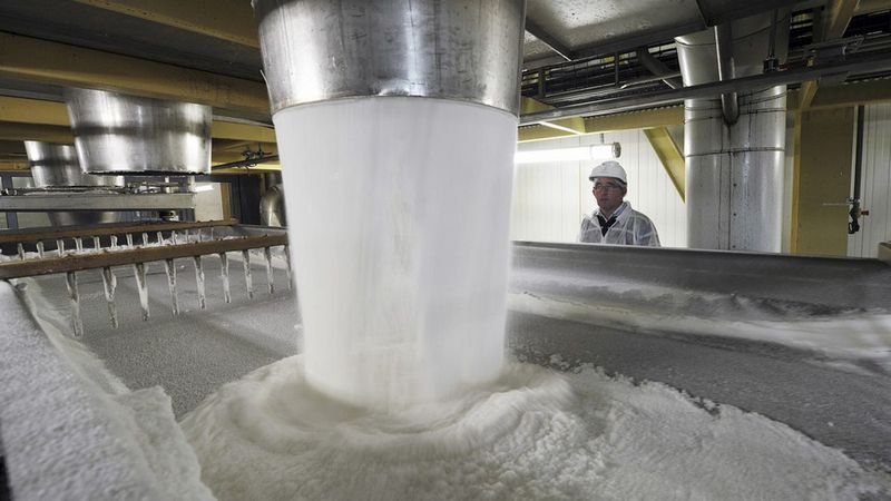 Несладкие факты о сахарной индустрии 23.09.2021