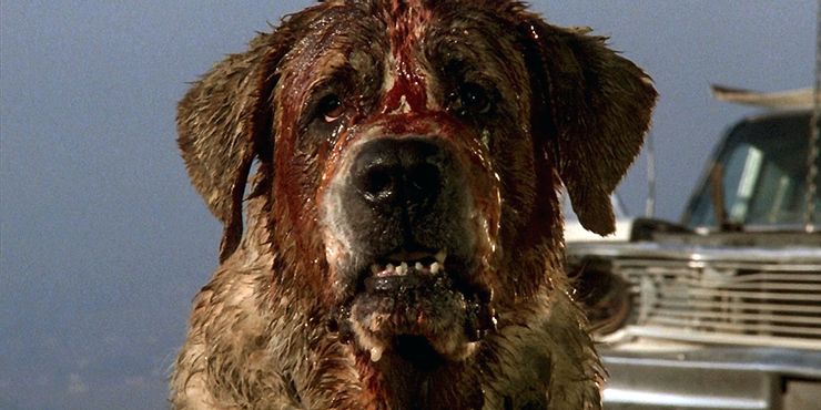 8 самых жутких животных в фильмах ужасов