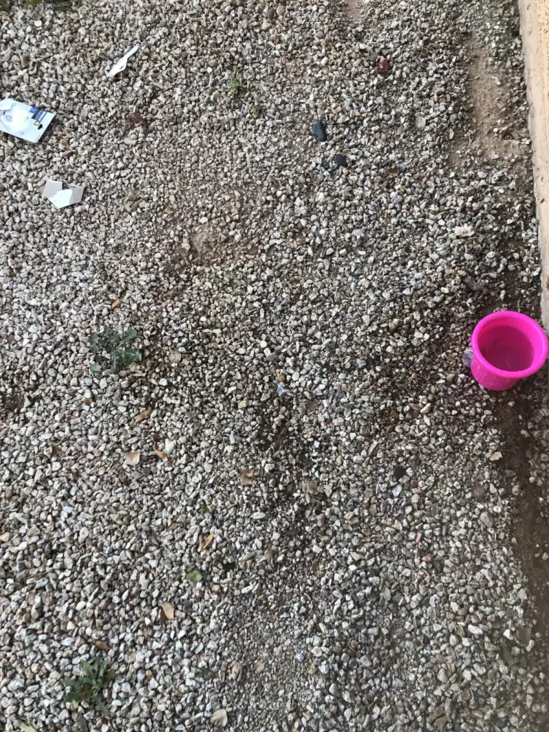 Пользователь Reddit попросил помочь найти по фотографии упавший на землю крошечный винтик — он слился с камнями