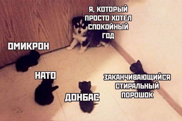 Шутки и мемы из Сети  23.02.2022