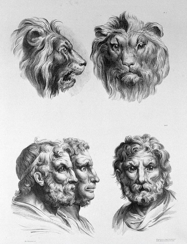 Художник Шарль Лебрён представил, как бы выглядел человек, если бы он произошел не от приматов