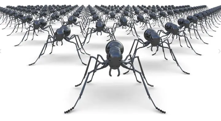 Ученые подсчитали общее количество муравьев на Земле