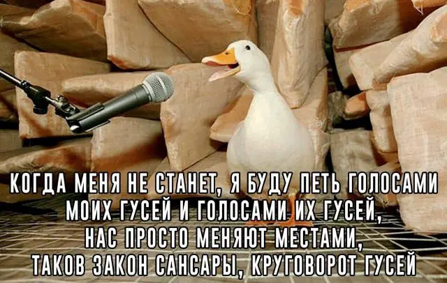 Лучшие шутки и мемы из Сети 07.09.2022