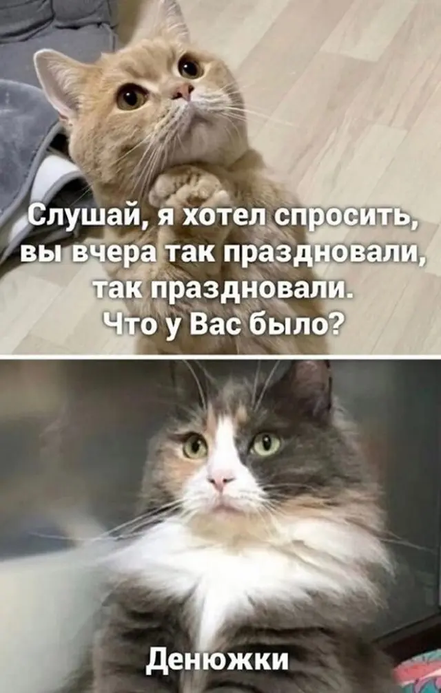 Шутки и мемы про алкоголь 26.10.2022