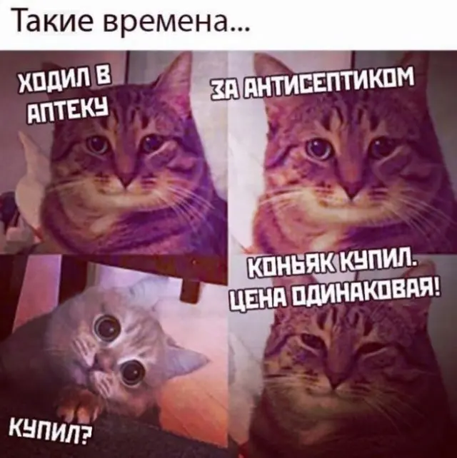 Шутки и мемы про алкоголь 08.11.2022