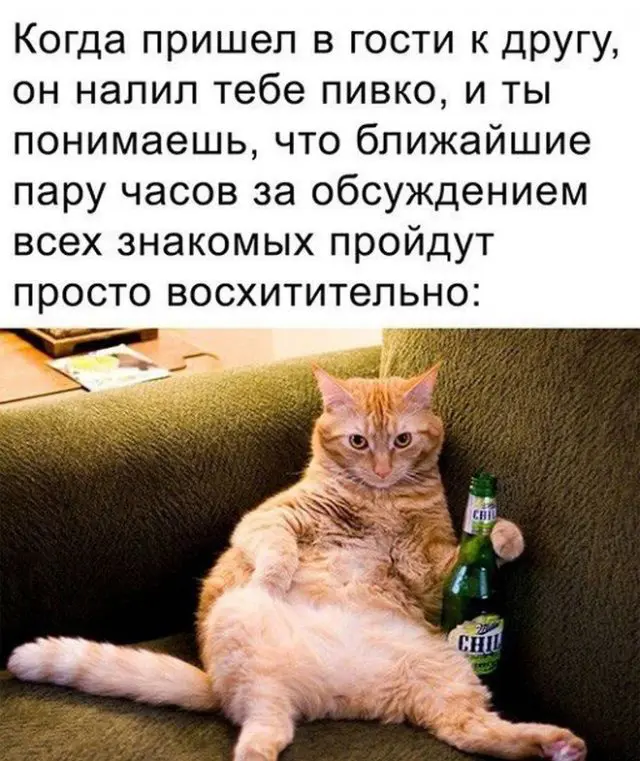 Приколы и мемы про алкоголь 07.03.2023