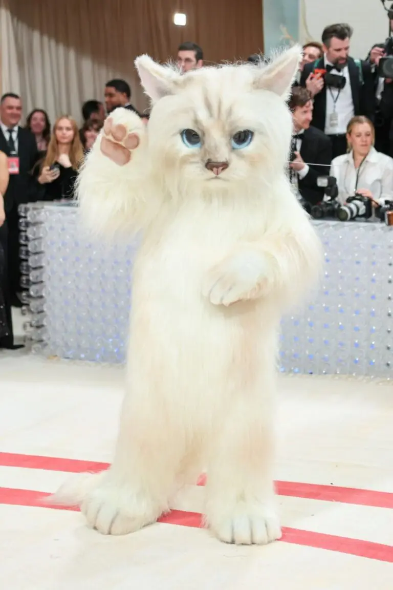 Джаред Лето пришёл на благотворительный бал Met Gala в Нью-Йорке в костюме гигантского кота