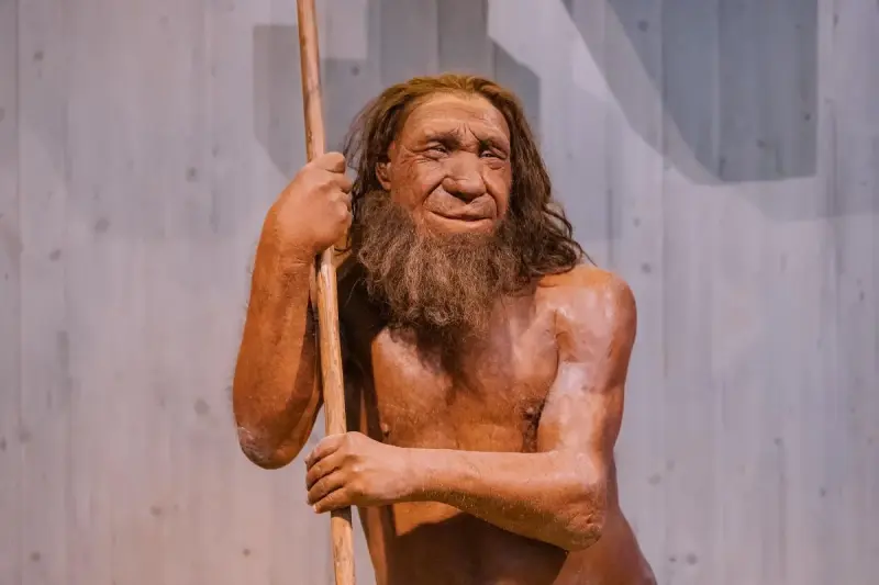 ДНК неандертальца может быть причиной плохого иммунитета современного человека