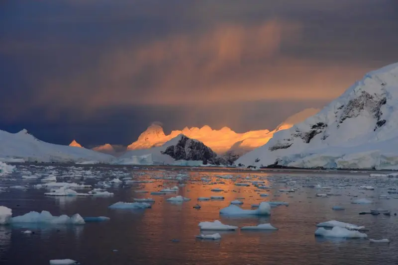 Уровень морского льда в Антарктиде упал до рекордно низкого уровня: что происходит