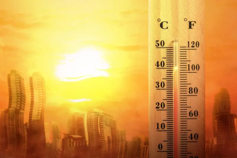 Экстремальная жара будет повторяться каждые 2-5 лет: ученые напугали прогнозом