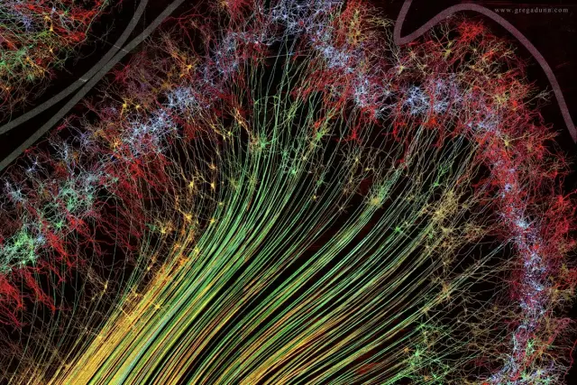 "Шевели извилинами": красивая визуализация процессов, которые происходят в нашем мозге каждый день