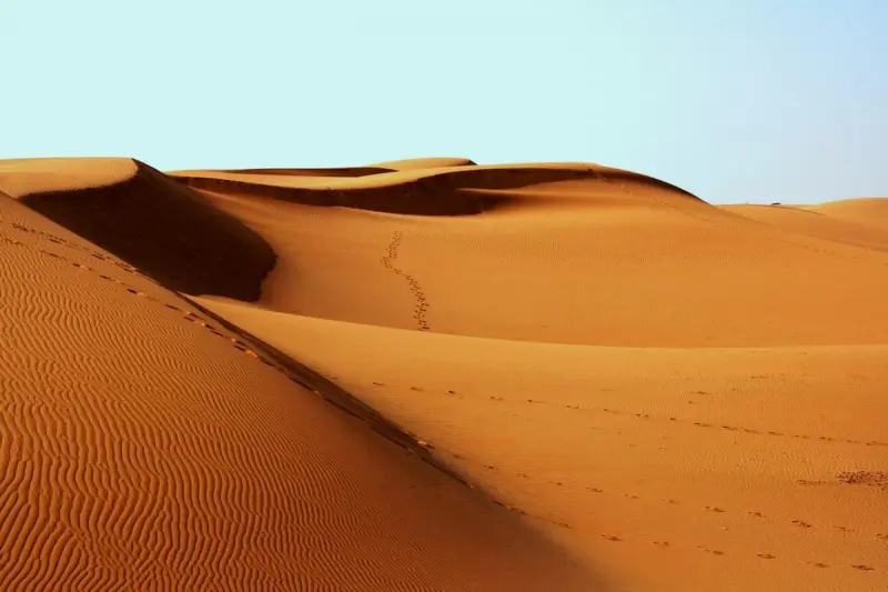 Что скрывается под песком пустыни: тайна раскрыта