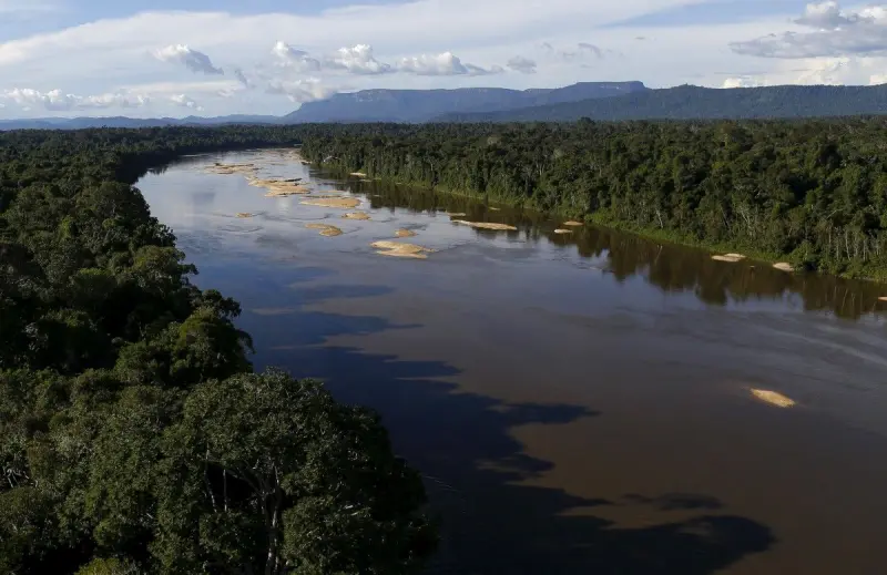 В земле под джунглями Амазонки могут скрываться тысячи древних построек, - ученые