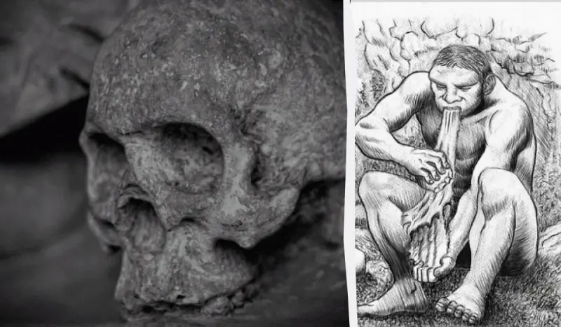 Ученые выяснили, что древние люди были каннибалами, и вовсе не по причине голода