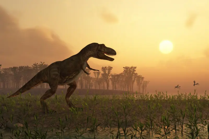 Немного ошиблись: ученые открыли новый вид динозавров, изучив давно найденные останки