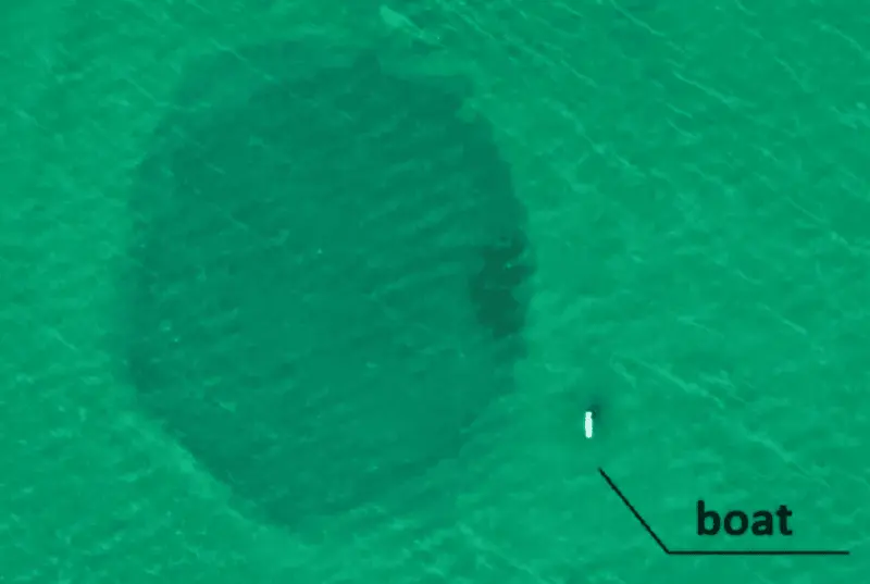 Ученые нашли самую глубокую подводную воронку в мире
