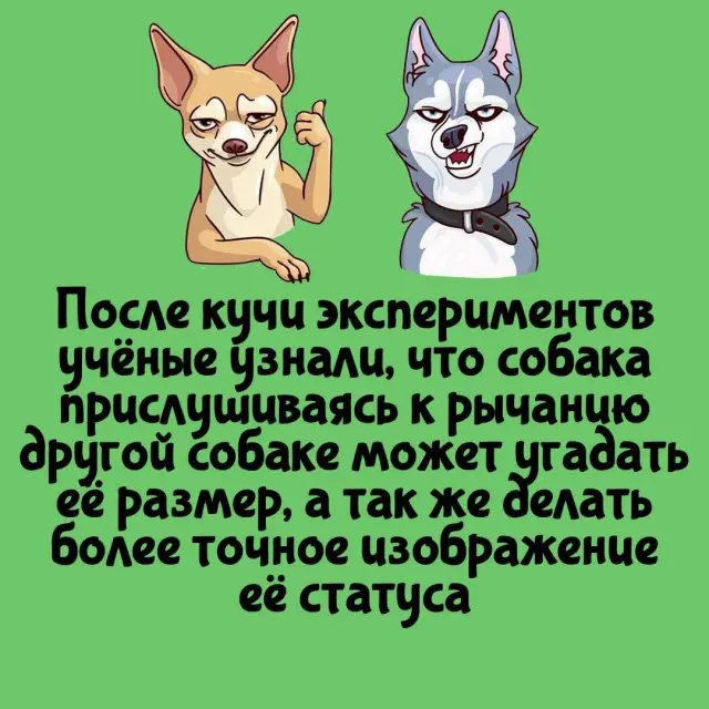 Интересные факты на все случаи жизни  30.09.2024