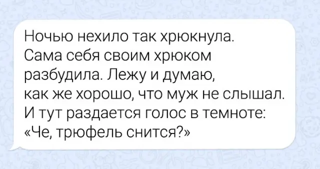 Подборка забавных переписок 30.10.2024
