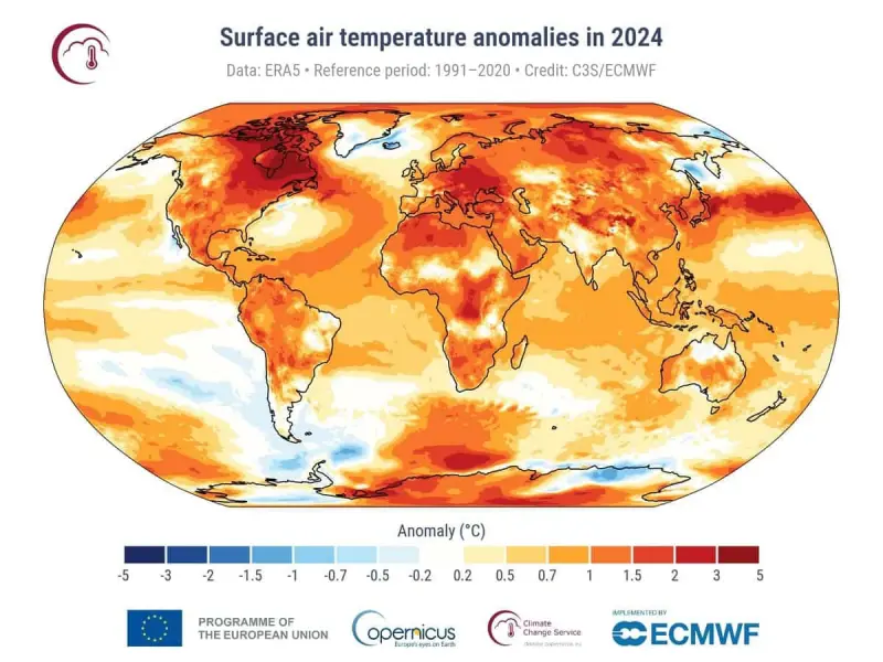 2024 год стал самым теплым за всю историю наблюдений